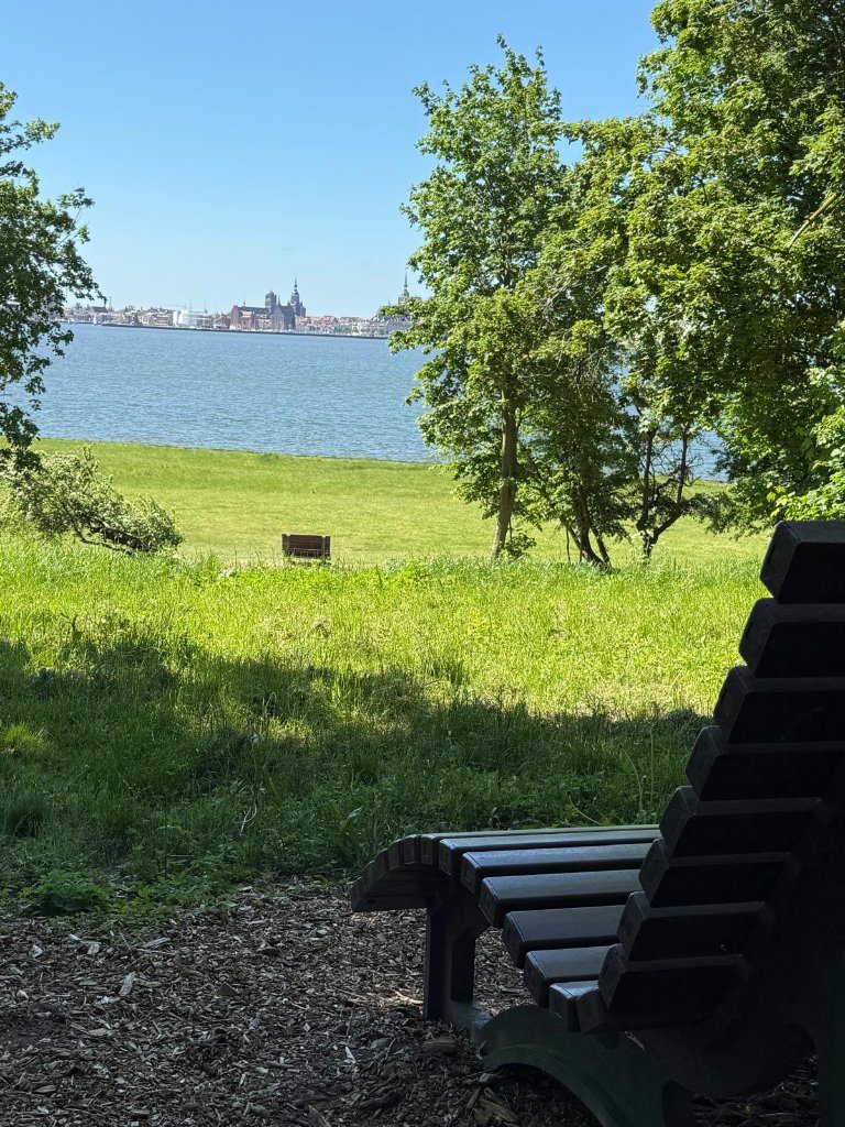 Ausblick
