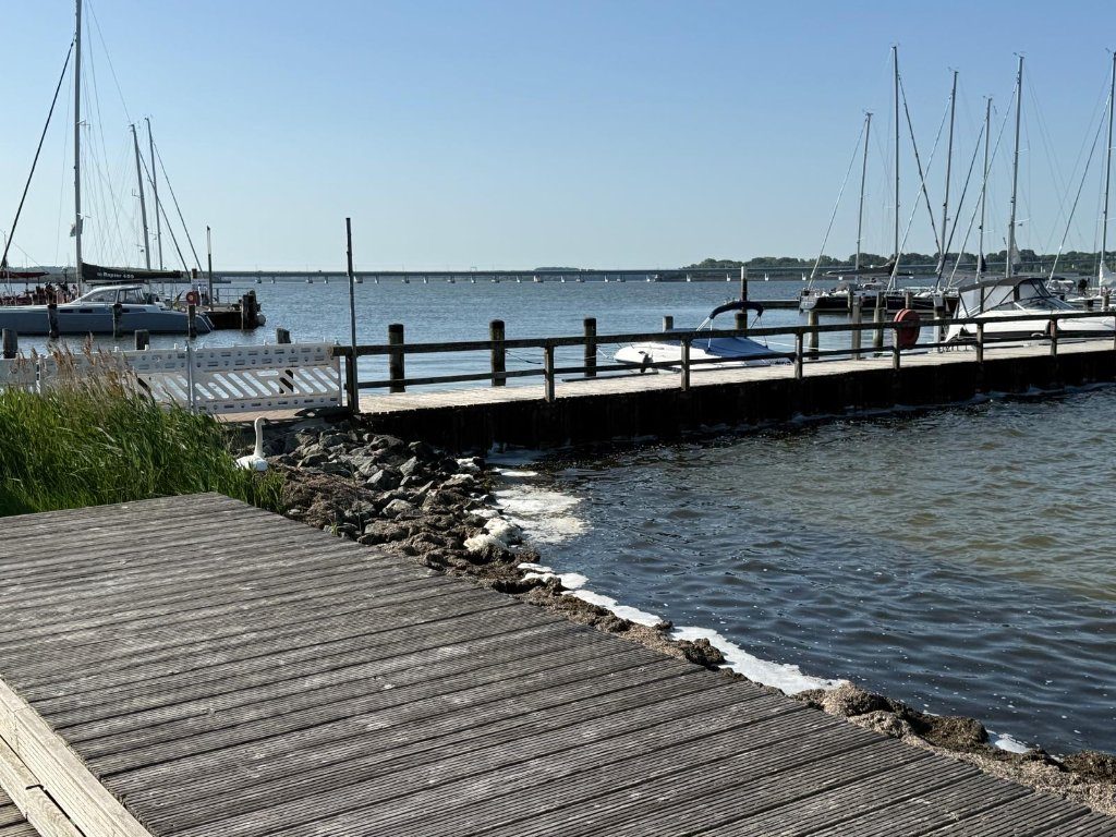Hafen von Altefähr